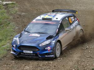 Ford Fiesta R5 2013 года